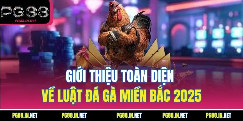 Giới Thiệu Toàn Diện Về Luật Đá Gà Miền Bắc 2025
