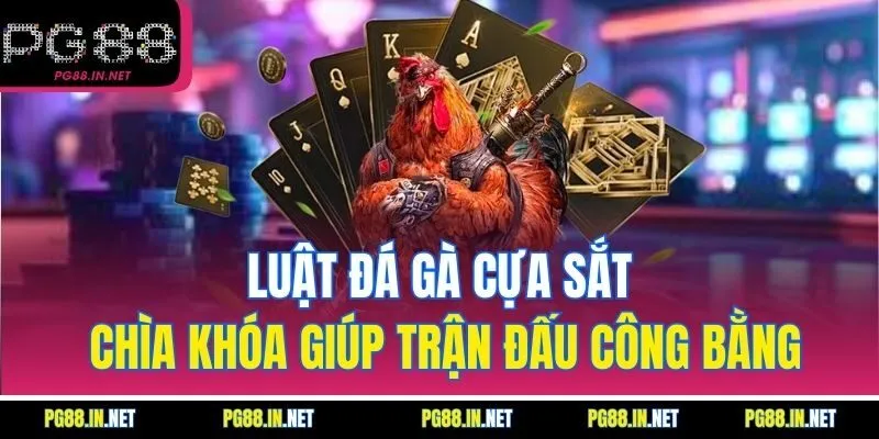 Luật Đá Gà Cựa Sắt – Chìa Khóa Giúp Trận Đấu Công Bằng