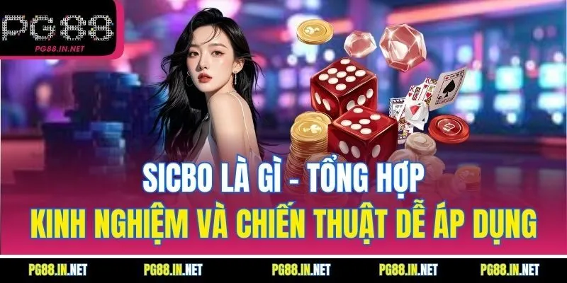 Sicbo Là Gì - Tổng Hợp Kinh Nghiệm Và Chiến Thuật Dễ Áp Dụng