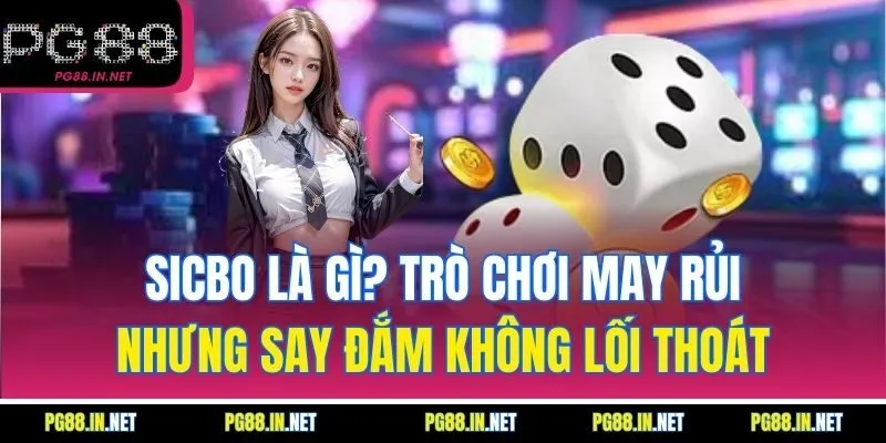 Sicbo Là Gì? Trò Chơi May Rủi Nhưng Say Đắm Không Lối Thoát