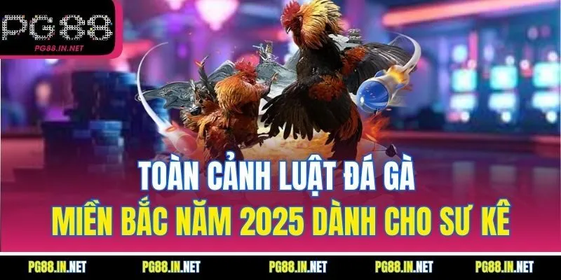 Toàn Cảnh Luật Đá Gà Miền Bắc Năm 2025 Dành Cho Sư Kê